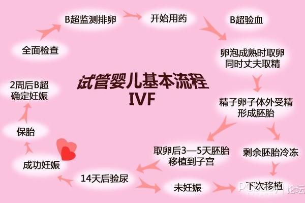 单身女性去美国借卵做试管代怀供卵合法吗？其过程是怎样的？