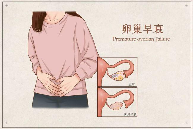 提高精子卵子质量的食物,吃什么有助于怀孕